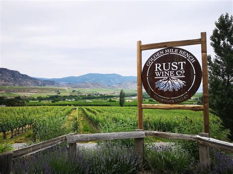 rust winery|rust vineyards in canada.